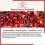Chinese Zodiac Feng Shui Obsidian Five-Element Wealth Prosperity Bracelet