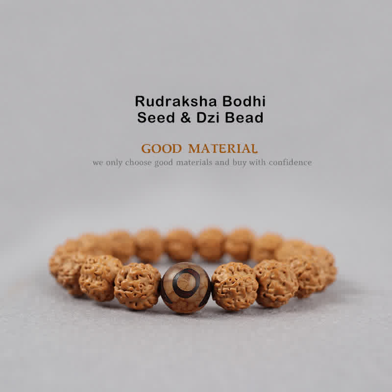 Tibet Rudraksha Bodhi Seed Dzi Bead Amber Turquoise Wealth Bracelet